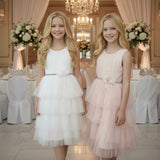 Timeless Elegant Occasion Dress