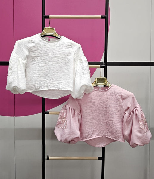 Puff-Sleeve Embroidered Blouse - mylittlev