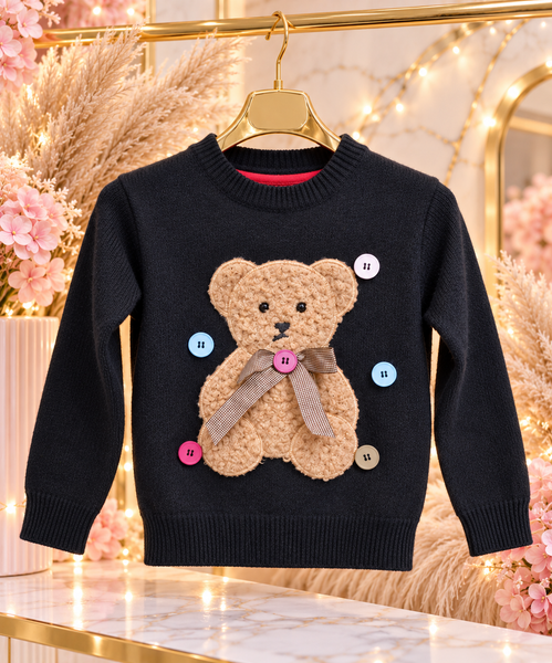 Teddy Jumper